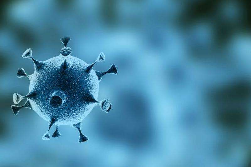 FB粉丝团七万人是什么？一文了解